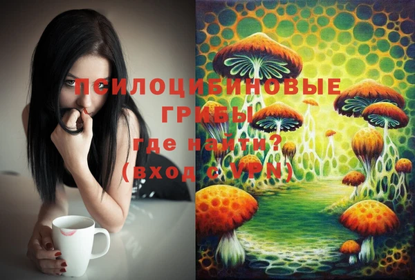 винт Алзамай