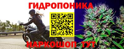 дурь Ярославль