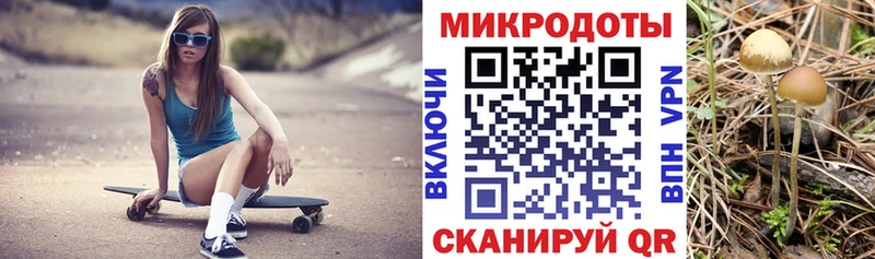 Галлюциногенные грибы прущие грибы  Бахчисарай 